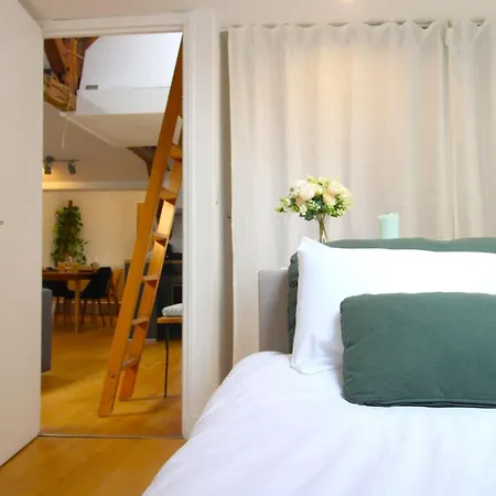 Apartment Le Penthouse Temple
